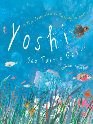 cover image of Yoshi, Sea Turtle Genius